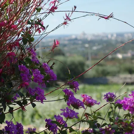 Bed & Breakfast Masseria Serralta Locorotondo
